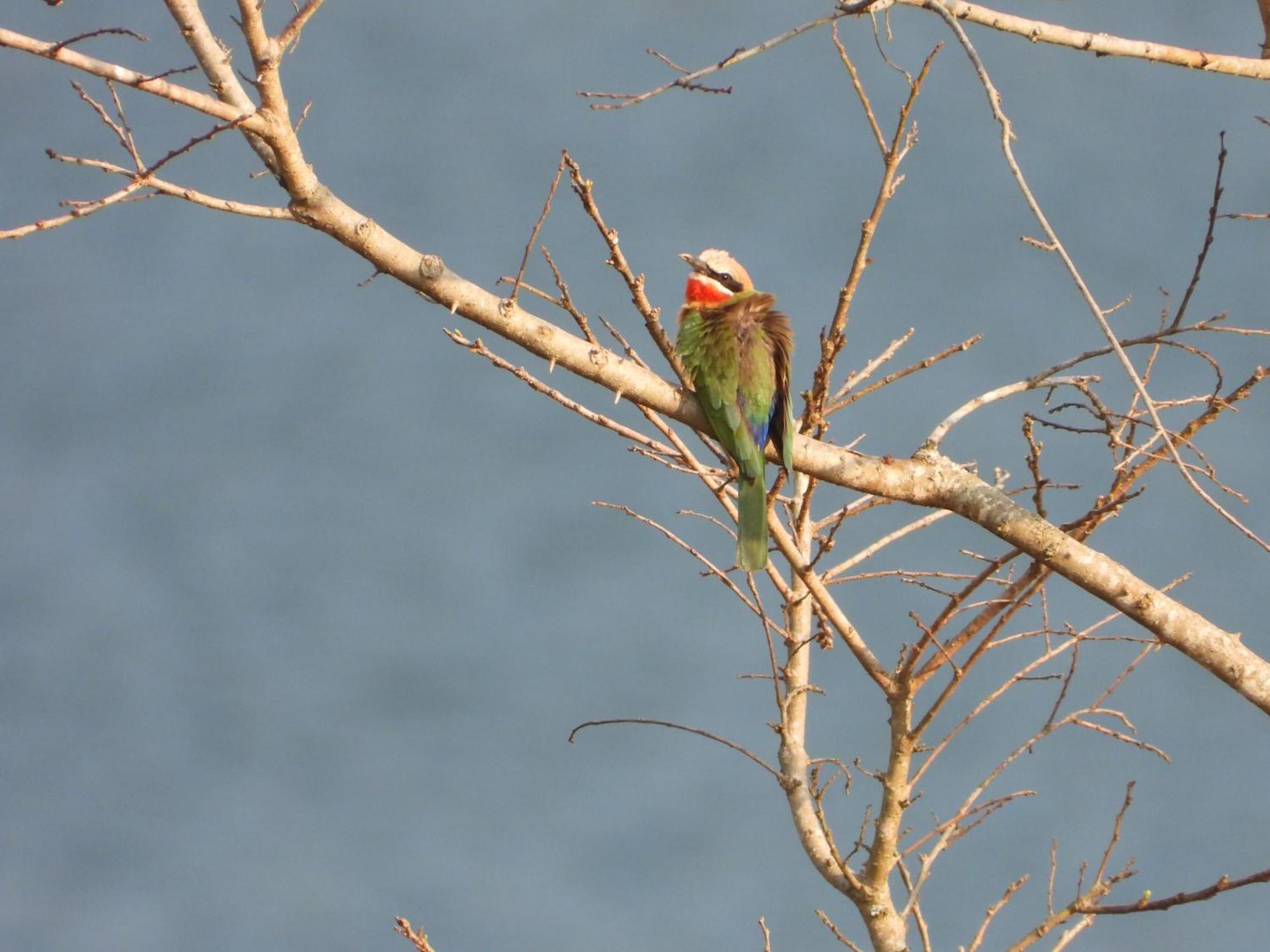 Dagama Dam - White River - Kestrel - House 21 Екстериор снимка